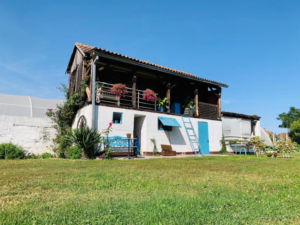 Lux House Olga Daire Ruma Dış mekan fotoğraf