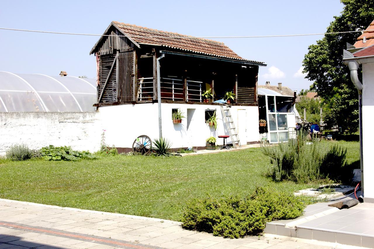 Lux House Olga Daire Ruma Dış mekan fotoğraf